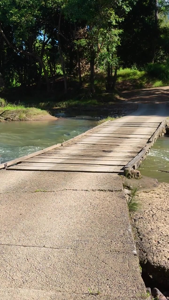 Un ponte di legno stretto attraversa un ruscello che scorre, circondato da alberi verdi lussureggianti e luce solare.