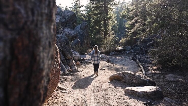 young girl wearing a light blue plaid flannel and black pants walking hiking through the forest in Big Bear California during sunset with dramatic shadows and lots of rocks and boulders STATIC SHOT