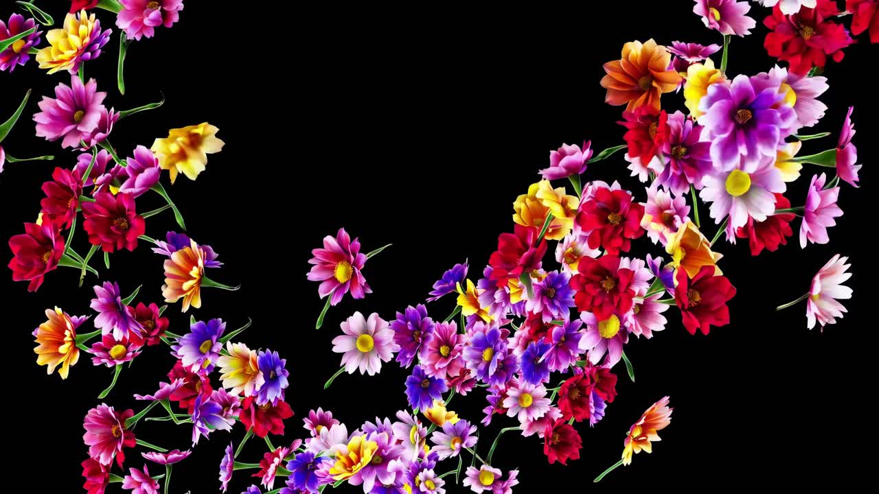 Vibrant floral arrangement with vivid colors on a black background, captured from a top-down angle
