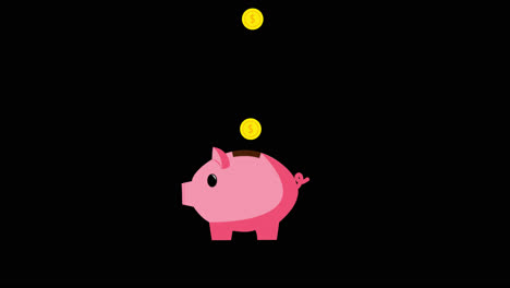 animation of gold dollar coins falling from above into a pink piggy bank moving ears, nose and tail slightly, alpha channel included