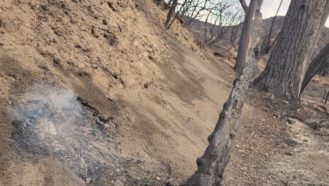 the desolate remains of a burned-out landscape where parts are still smoldering