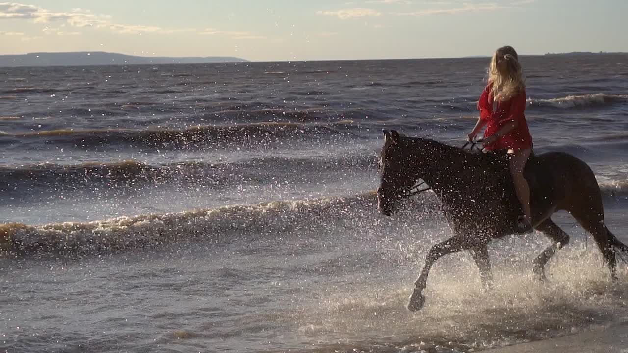 женщина едет на лошади в океане на закате