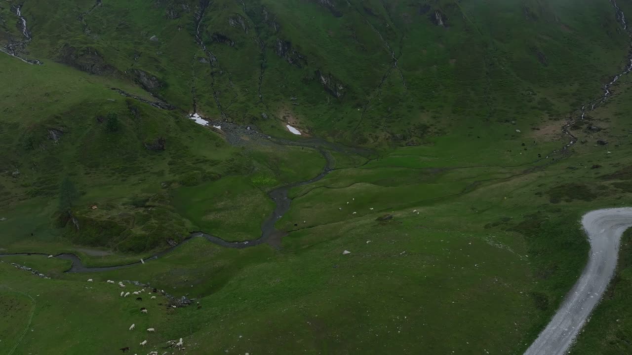 camino que se tuerce y gira, cabras pastando en un exuberante prado verde