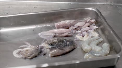 a vibrant assortment of fresh seafood rests on a stainless steel tray, showcasing squid, shrimp