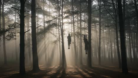 mysterious figures suspended in a foggy forest illuminated by creeping sunlight: an eerie scene of stillness and contemplation