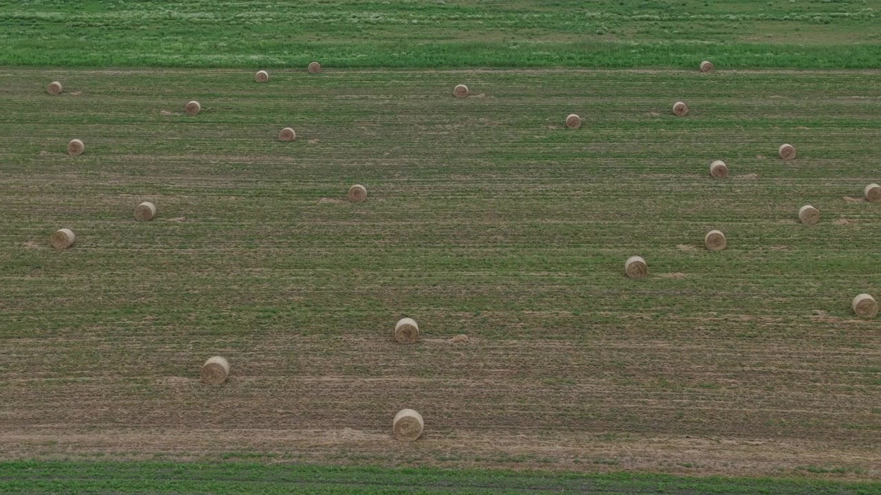An aerial view shows numerous round hay bales neatly arranged in a harvested field, signifying agricultural productivity.