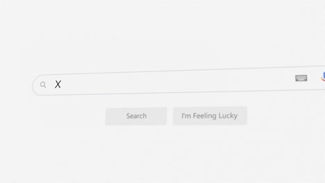 searching for x on internet browser