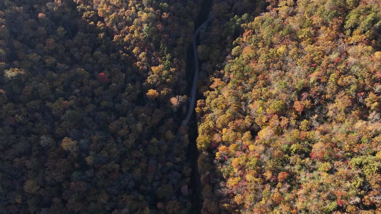 Top view of colorful trees in fall at Marble, NC