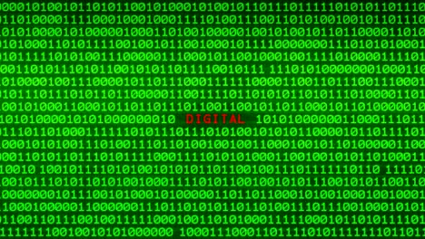 DIGITAL Word Revealing on Wall of Green Binary Code  Between Random Binary Data Matrix Background