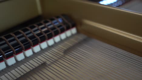 dentro del piano de cola