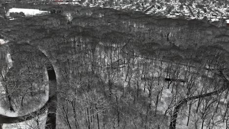 an aerial view of a snow covered park on long island on a cloudy winter day