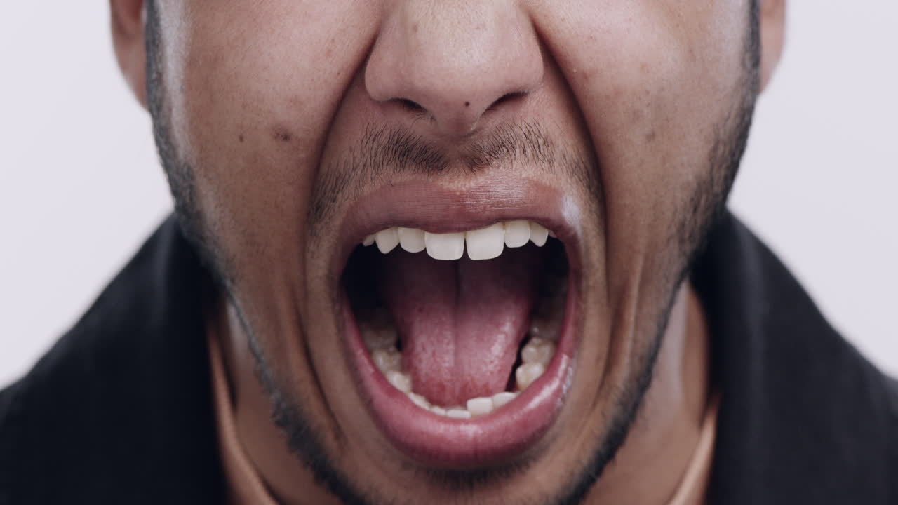 prefiero tener una voz que un eco