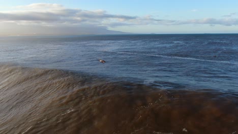 Surfer-Geht-Auf-Welle-Und-Drohne-Folgt-Ihr,-Bis-Sie-Am-Ufer-In-Hawaii-Bricht