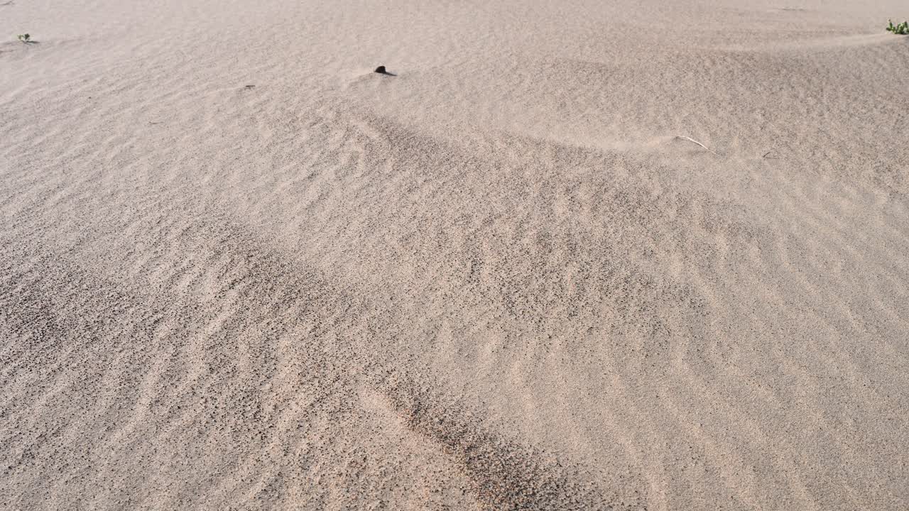 A close-up of strong wind blowing fine grains of sand across the surface of a desert dune, creating soft, flowing patterns and textures