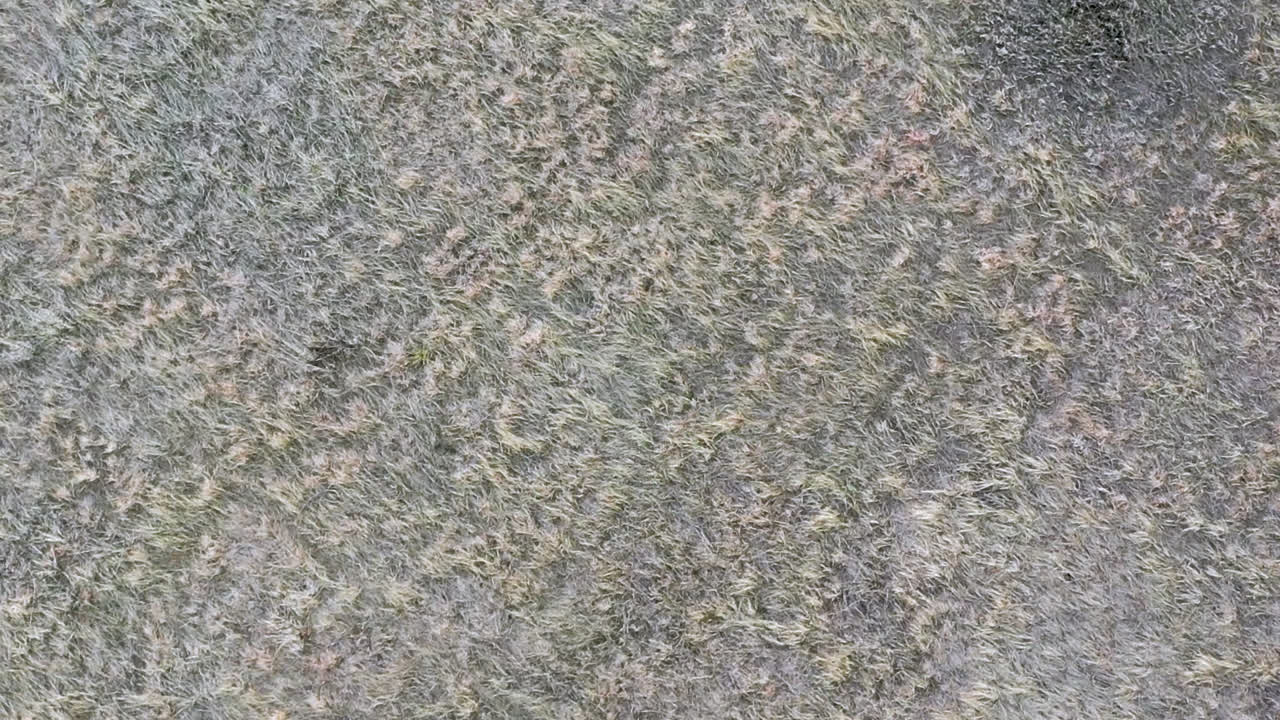 el ascenso aéreo de drones y el giro lento revelan un campo vacío de hierba muerta con un aspecto oscuro, ominoso y cinematográfico.