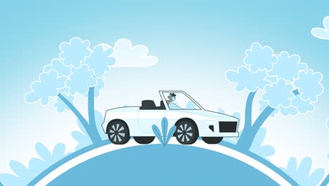 woman driving white cabriolet car in nature landscape. flat design cartoon isolated loop 2d animation