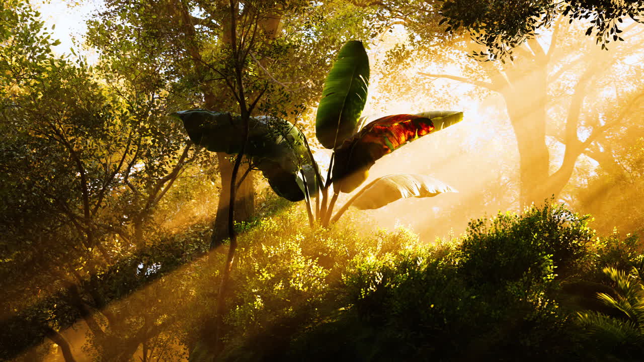 Sunlight filters through trees illuminating tropical leaves in the forest