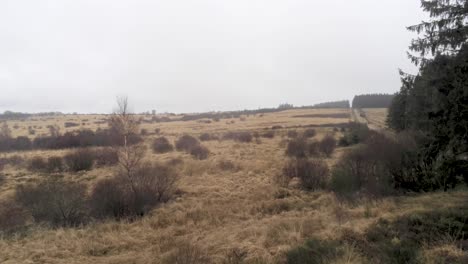 view of the high fens nature landscape, tracking shot