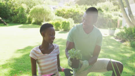 smiling african american couple planting plants in sunny garden