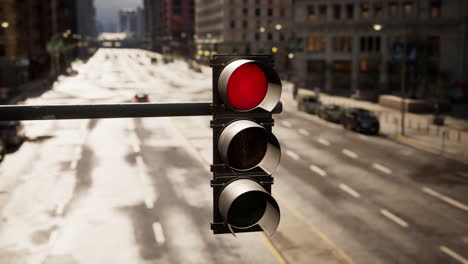 traffic light in a city street