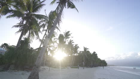 Fliegen-Sie-Durch-Die-Sonne,-Die-Durch-Die-Palmen-Von-Boracay-Späht