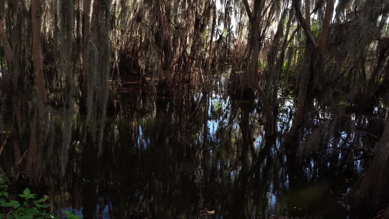 Eine prächtige Wasseroberfläche spiegelt Bäume mit sanften Wellenbewegungen wider. Von links nach rechts bilden zahlreiche Bäume eine wunderschöne Naturkulisse