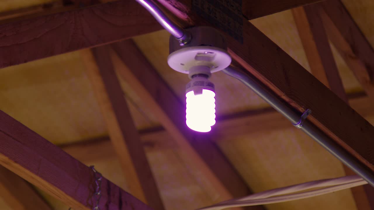 las bombillas púrpuras cuelgan