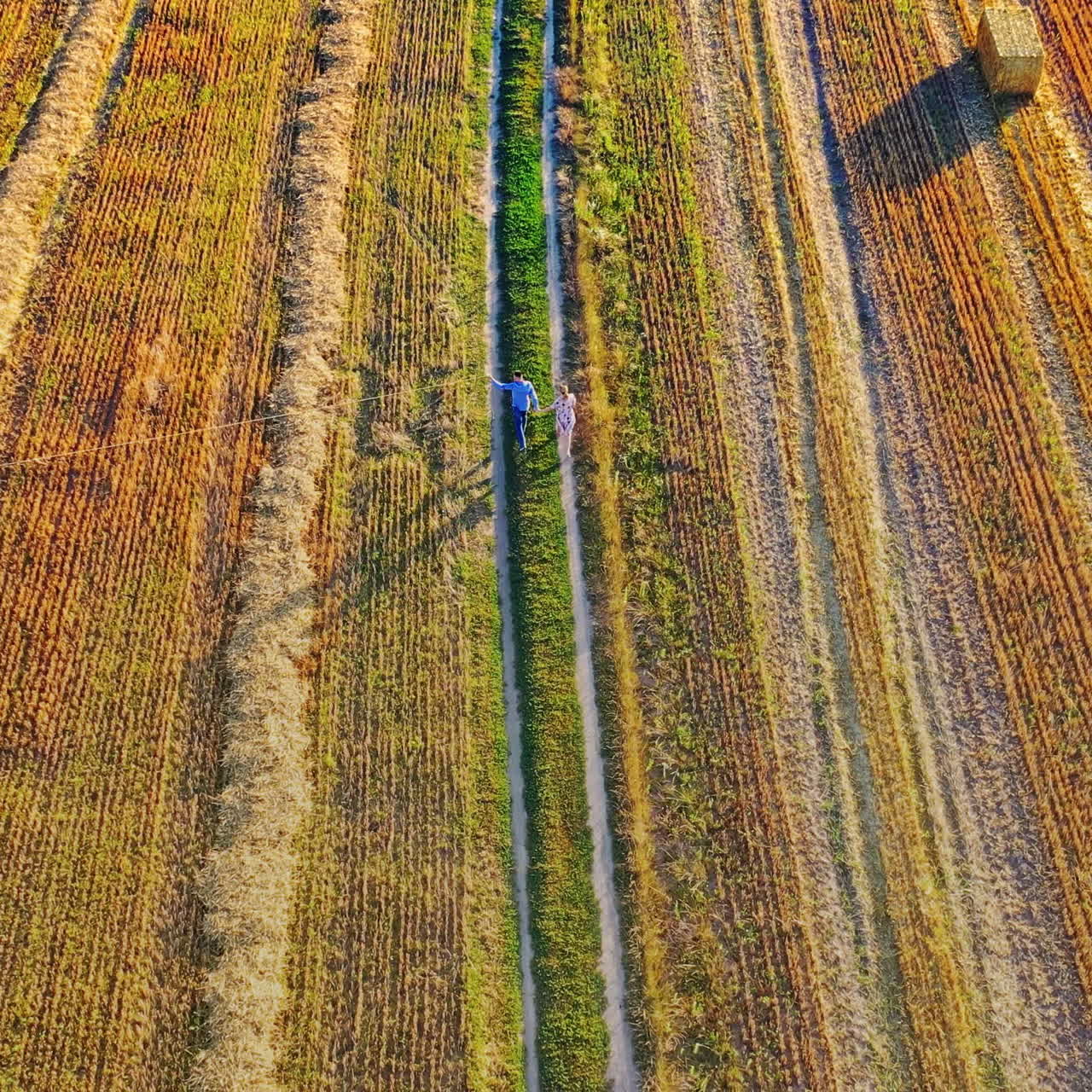 Aerial view on a yellow field and a loving couple. Happy man and woman running together with a kite on the field. Dating concept.