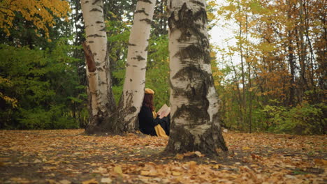 Side view of novelist enjoying book in solitude wears yellow beret scarf around neck focused on book flipping pages in beautiful autumn park surrounded by golden leaves and birch trees