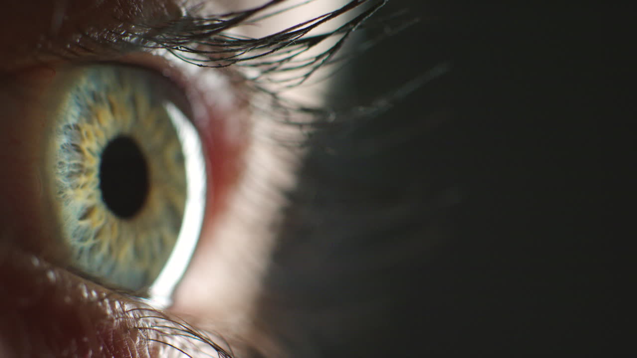 인간, 눈  ⁇ 과 어두운 여자의 시야