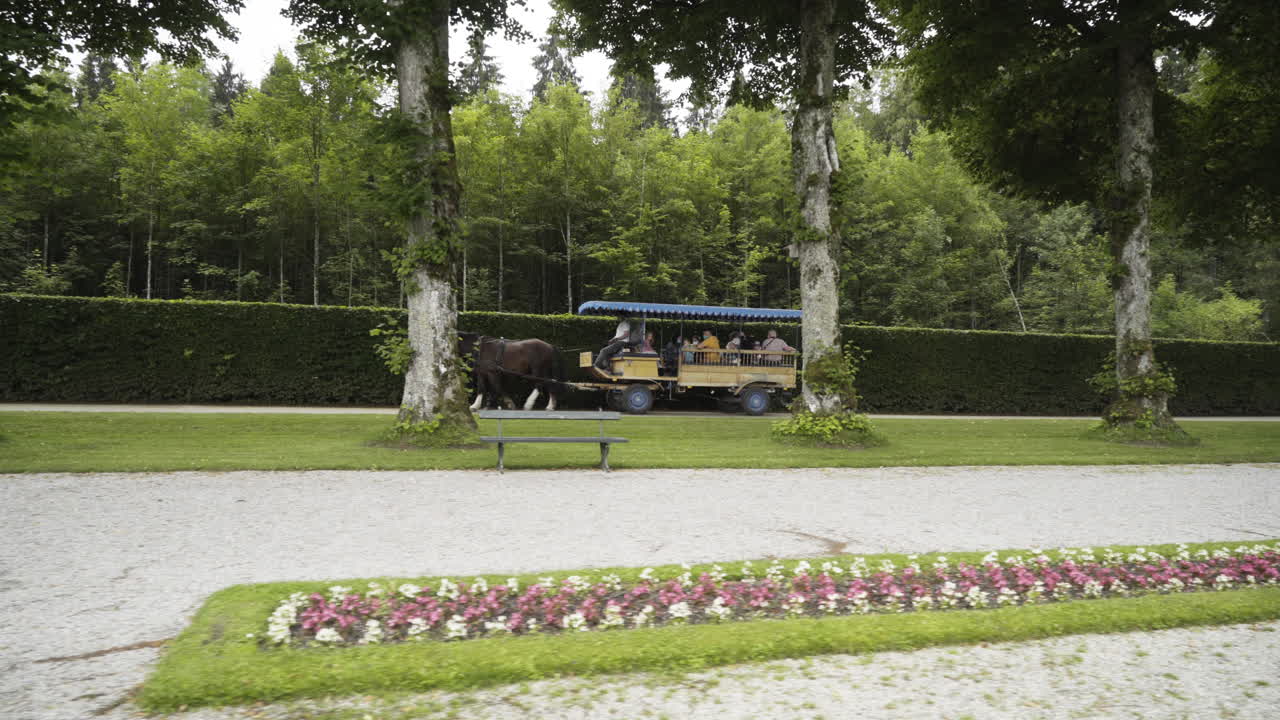 Shot of a Wagon (carriage) transport people on a island called Herrenchiemsee, in the foreground are some flowers, in the background are some trees