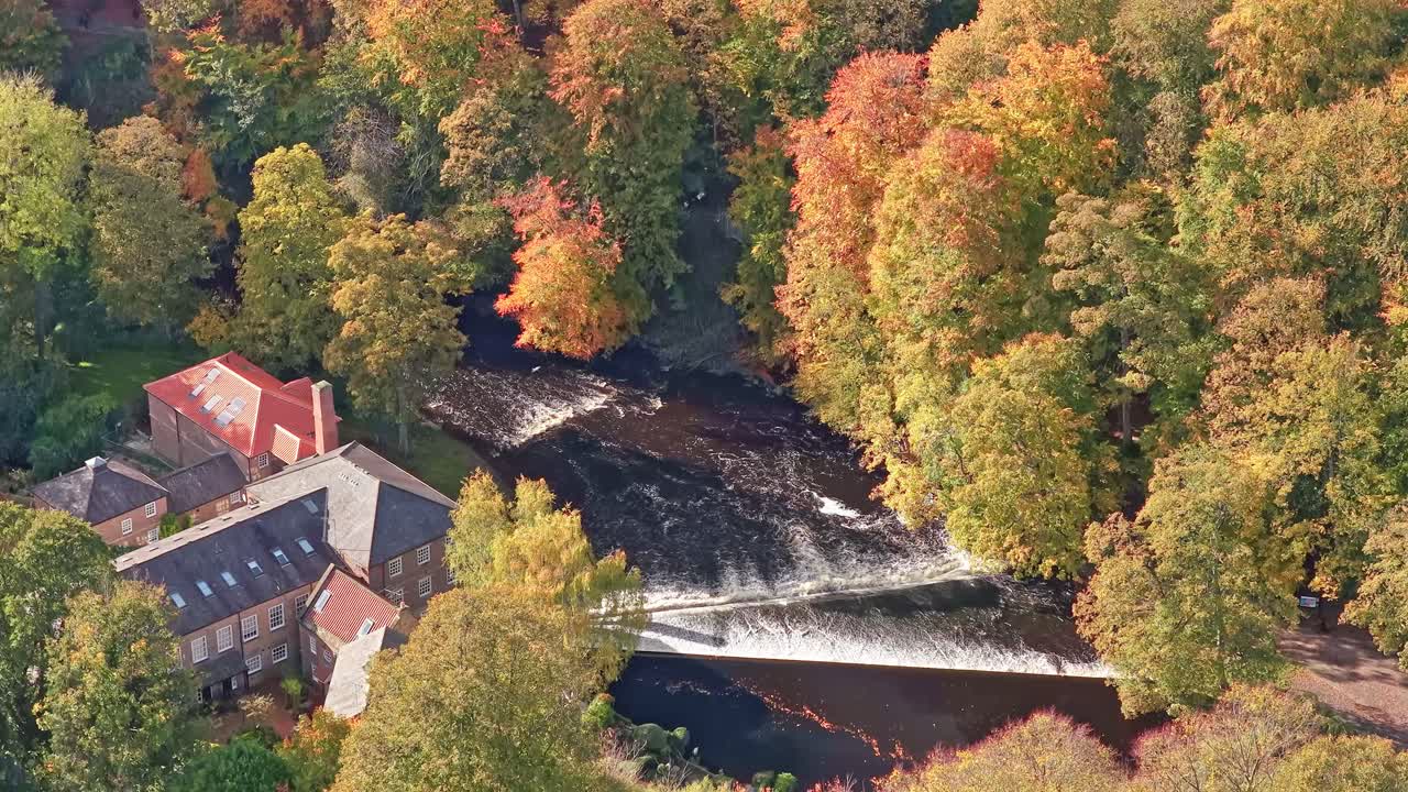 High angle aerial drone view of historic riverside mill buildings beside the River Nidd, with cascading weir and dense autumn woodland in Knaresborough, North Yorkshire, England