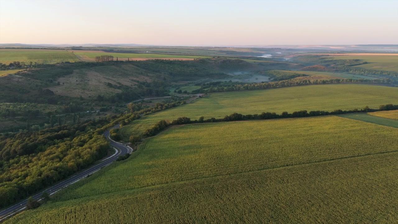 Pemandangan udara yang menangkap jalan berkelok di lembah hijau saat matahari terbit jam emas. Brinzeni, Moldova