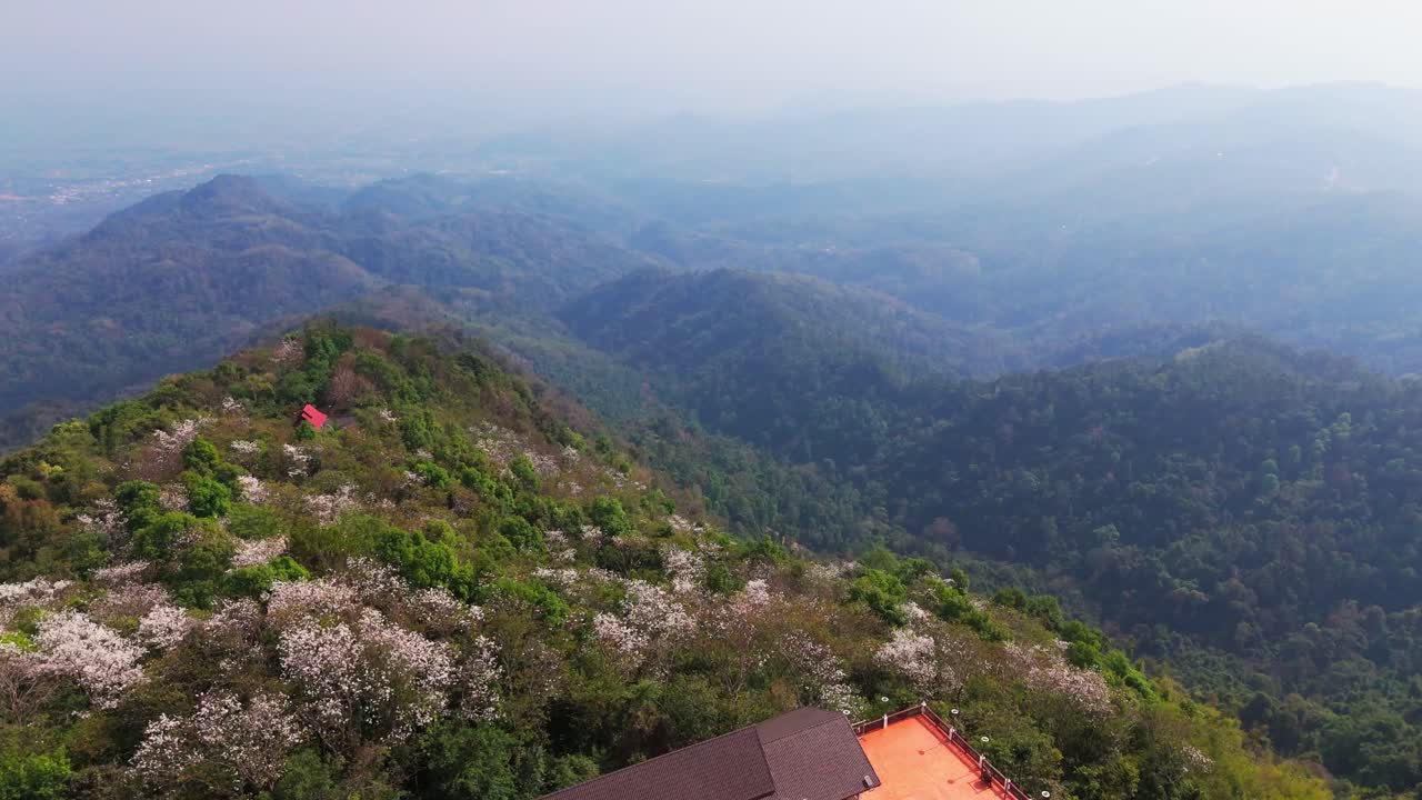 Aerial Buddhist temple Doi Tung, the highest peak of the Doi Nang Non mountain range, Chiang Rai province