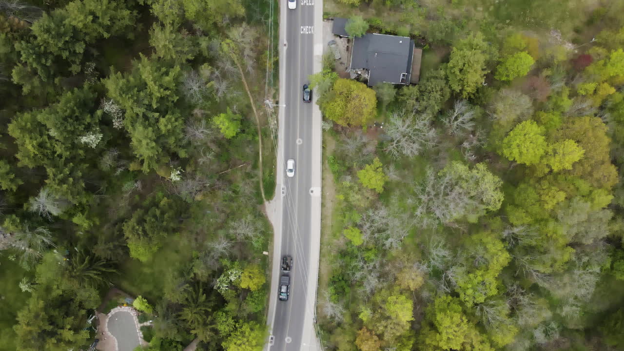 Aerial birds eye tracking shot of cars driving on rural road between green trees and sunlight. Grimsby Village,Canada.