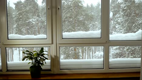 window. window overlooking the snow-covered forest