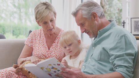 grandparents sitting on sofa with granddaughter at home reading book together