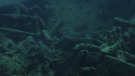 ss thistlegorm es uno de los naufragios más famosos del mundo que transportaba equipo militar durante la segunda guerra mundial, atrae a muchos buzos por la cantidad de carga que se puede ver y explorar