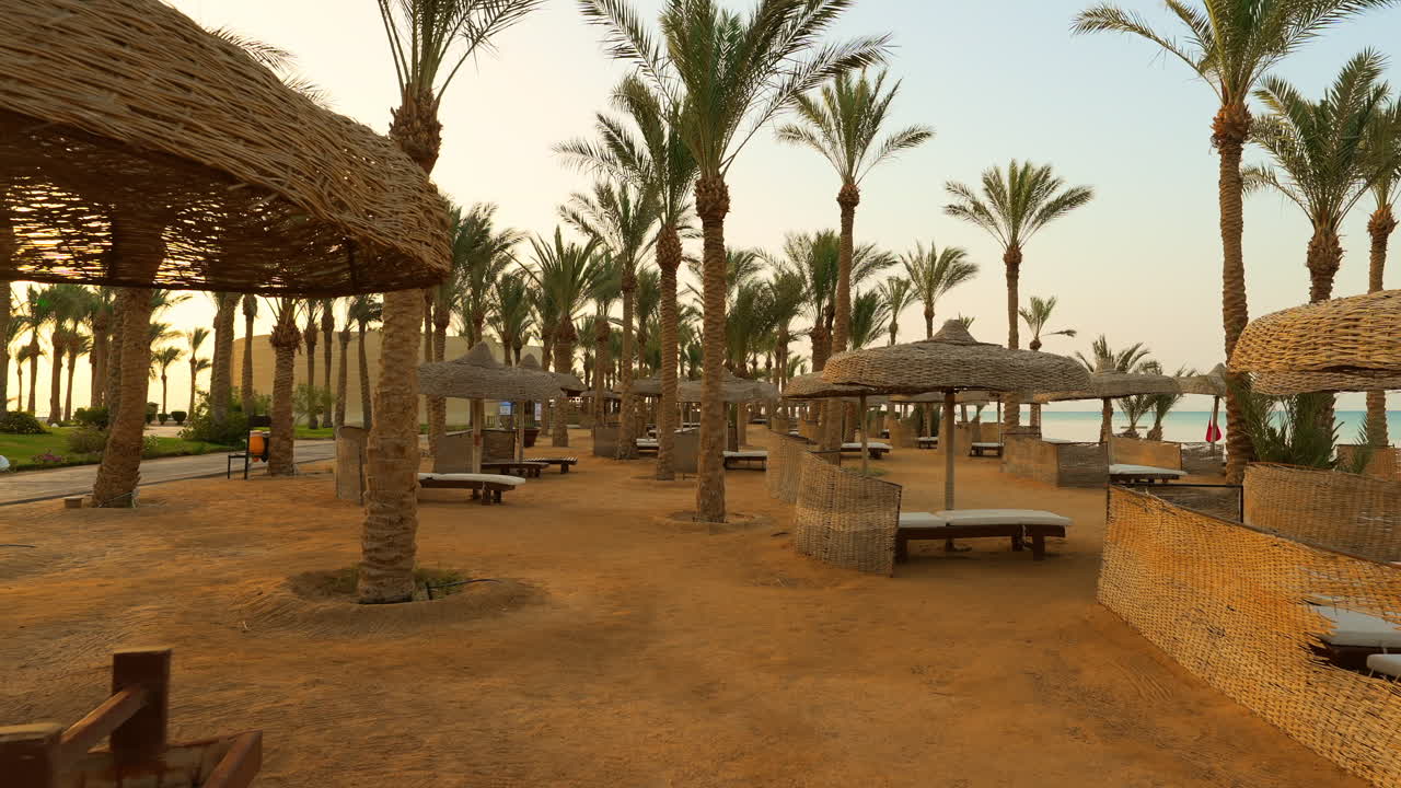 Spiaggia di sabbia di lusso con sedie a sdraio, ombrelloni e palme in un resort tropicale nel Mar Rosso