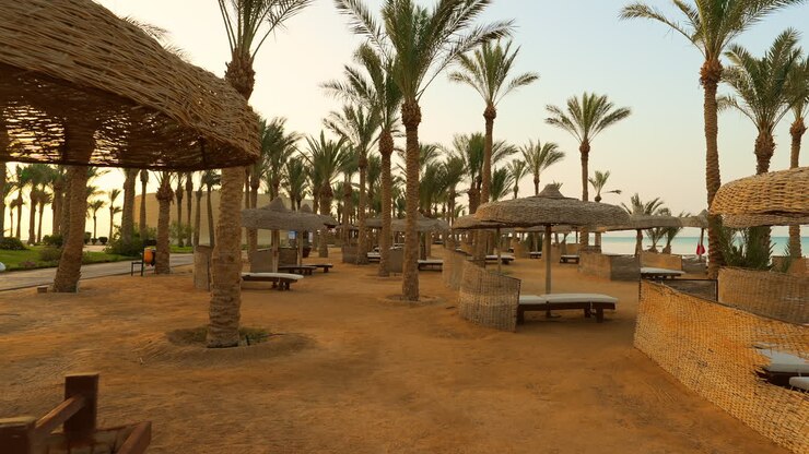 Spiaggia di sabbia di lusso con sedie a sdraio, ombrelloni e palme in un resort tropicale nel Mar Rosso