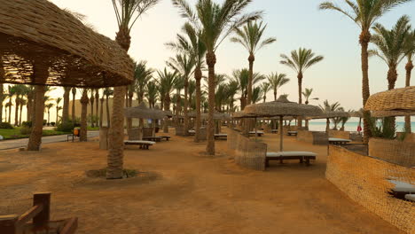 Playa-De-Arena-De-Lujo-Con-Tumbonas-Y-Sombrillas-Y-Palmeras-En-Un-Complejo-Tropical-En-El-Mar-Rojo