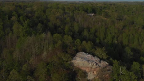 Roca-En-Medio-Del-Paisaje-Del-Bosque-Natural-Dolly-4k