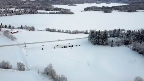 Traverse-the-enchanting-snow-laden-forest,-where-every-tree-branch-is-delicately-adorned-with-a-pristine-layer-of-snow,-creating-a-magical-atmosphere-that-transports-you-to-a-realm-of-tranquility