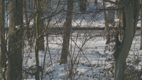 Autos-Fahren-Nach-Dem-Kalten-Winter-Auf-Der-Straße