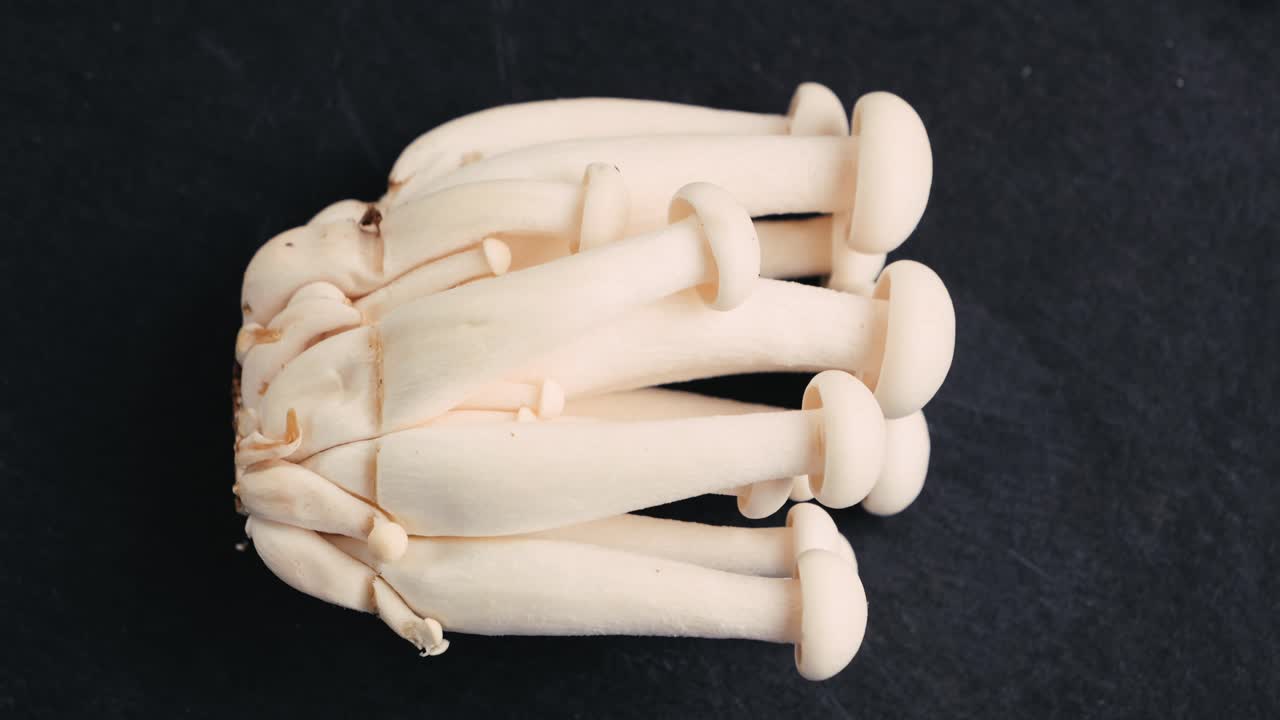 Close-up of fresh bunashimeji mushrooms
