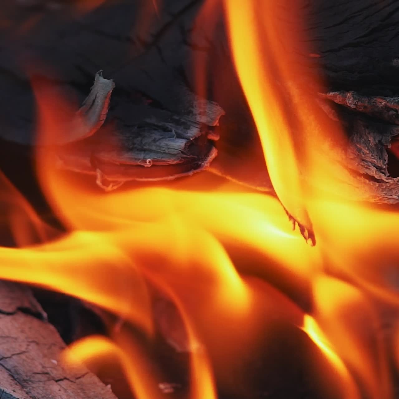 Burning Fire in Slow Motion. Woods fire. Slow motion
