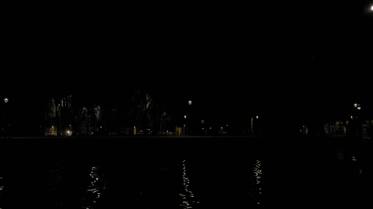 나무, 조명 가로등, 위의 달과 함께 밤에 베니스 시의 전망