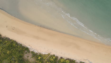aerial view of a tropical beach