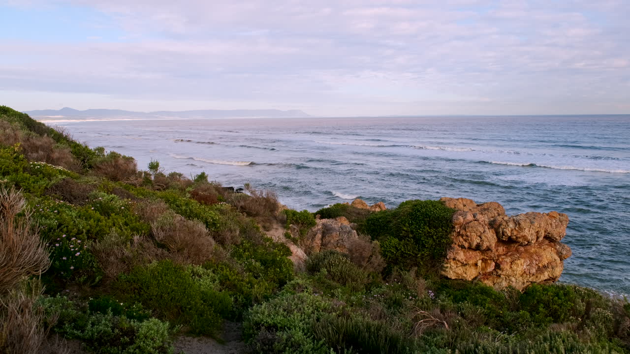 vegetación costera prístina en la costa de hermanus con vistas al océano, copia el espacio