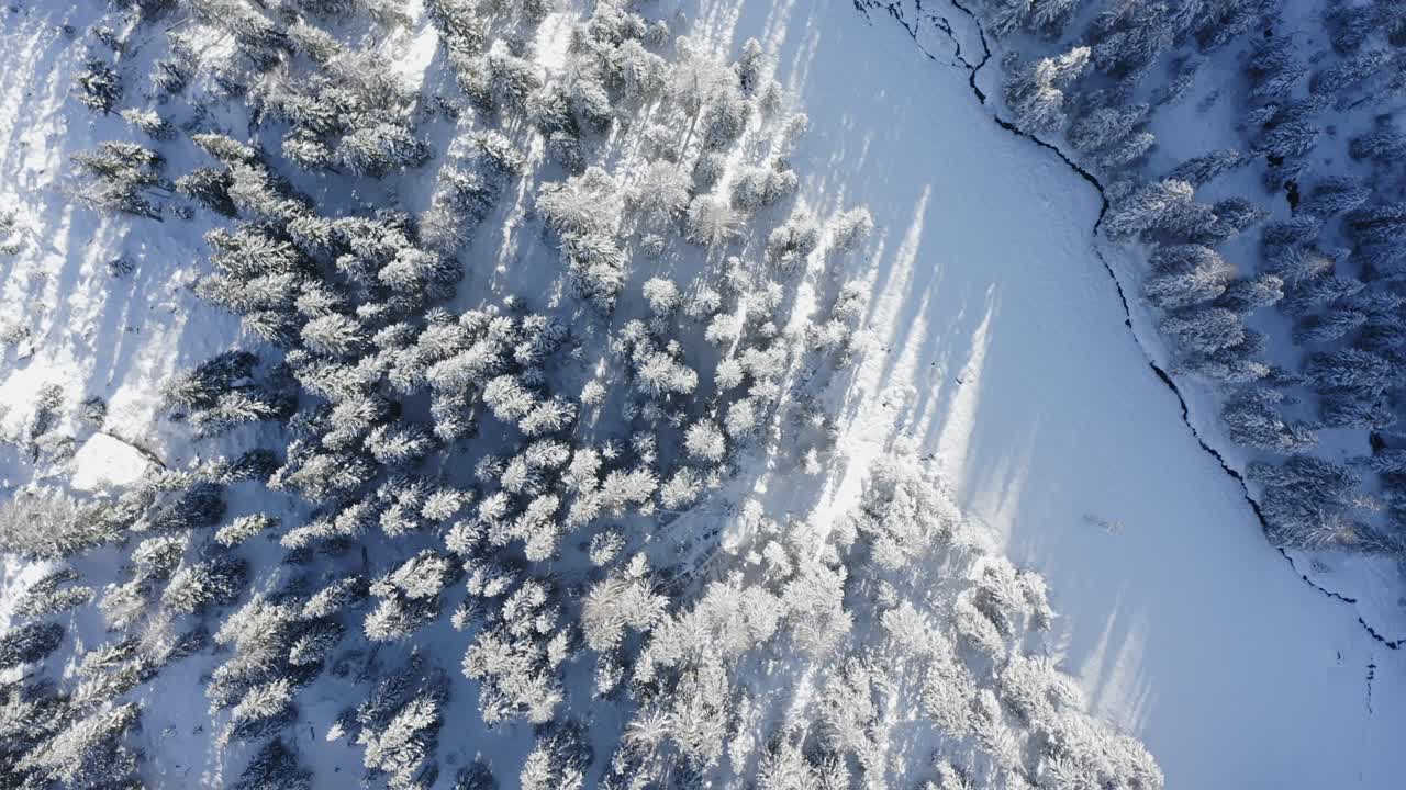 Droneutsikt ovenfra over skoglandskap dekket av hvit frossen snø.